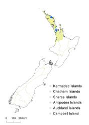 Phlebodium aureum distribution map based on databased records at AK, CHR & WELT.
 Image: K.Boardman © Landcare Research 2021 CC BY 4.0